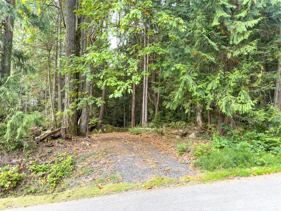 124 Goliah Lane #290, Port Ludlow, WA 98365 - #3
