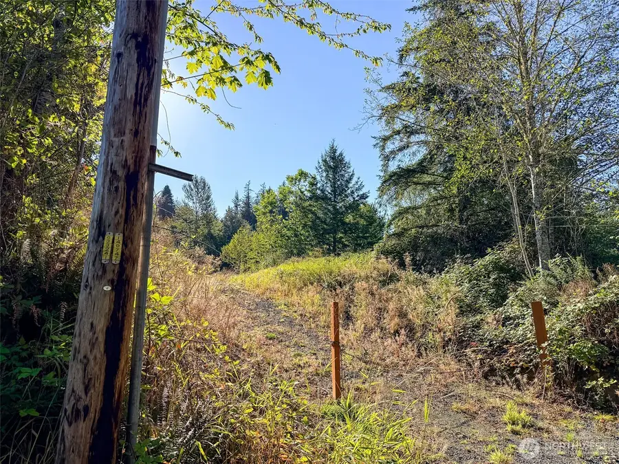 72 Leland Valley Road W, Quilcene, WA 98376 - #3