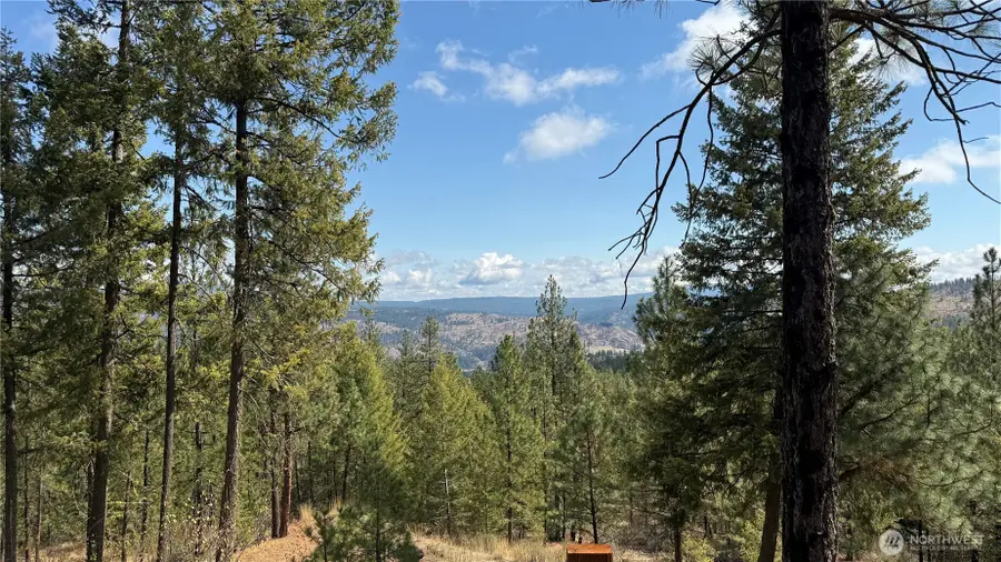 0 Larch Road #35, Davenport, WA 99122 - #3