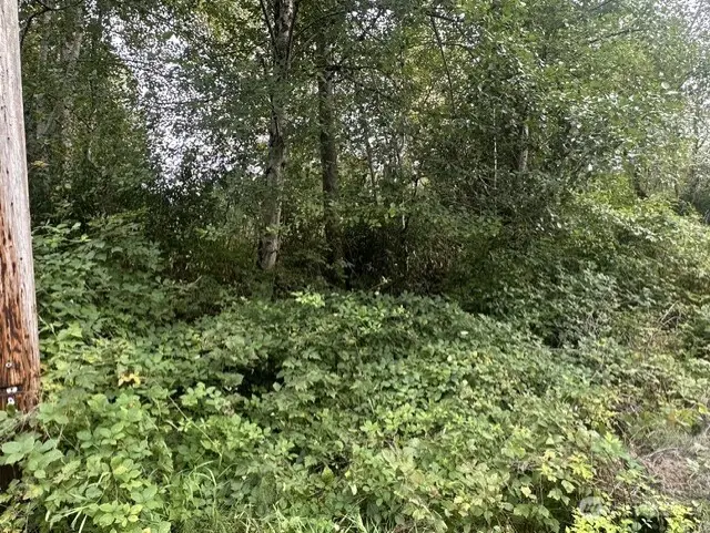 1115 123rd Avenue Se, Lake Stevens, WA 98258 - #3