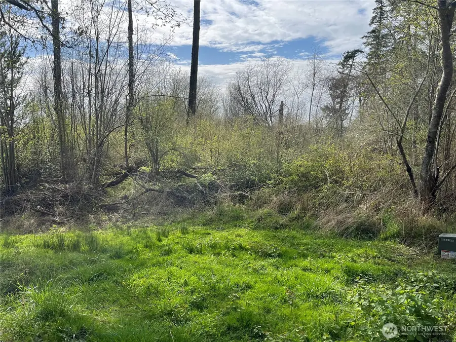 0 Beach Court, Lopez, WA 98221 - #2