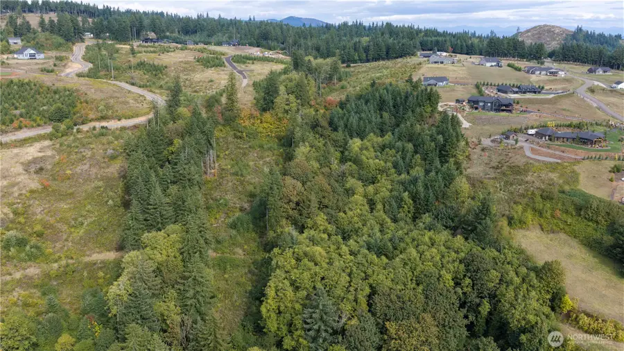 265 Talon Court #4, Kalama, WA 98625 - #2