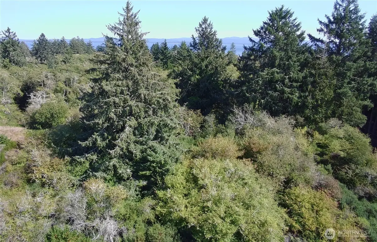 0 Oysterville Road #4, Oysterville, WA 98641 - #1