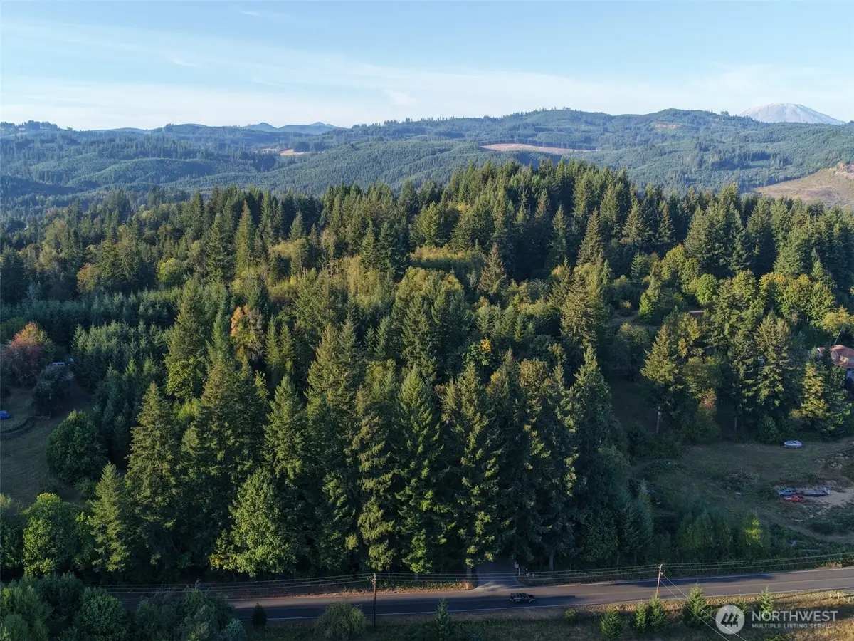 0 399th Street, Amboy, WA 98601 - #1