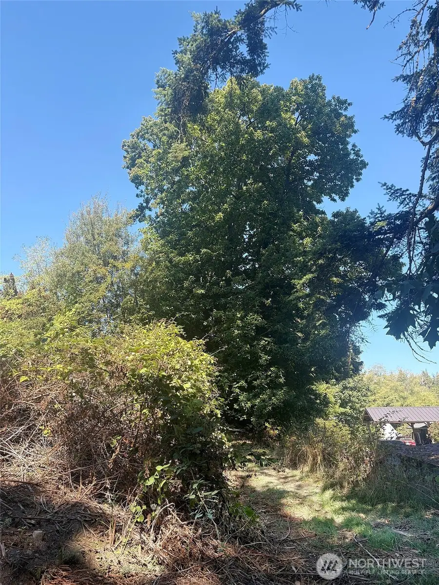 1881 Newman Road, Freeland, WA 98249 - #3