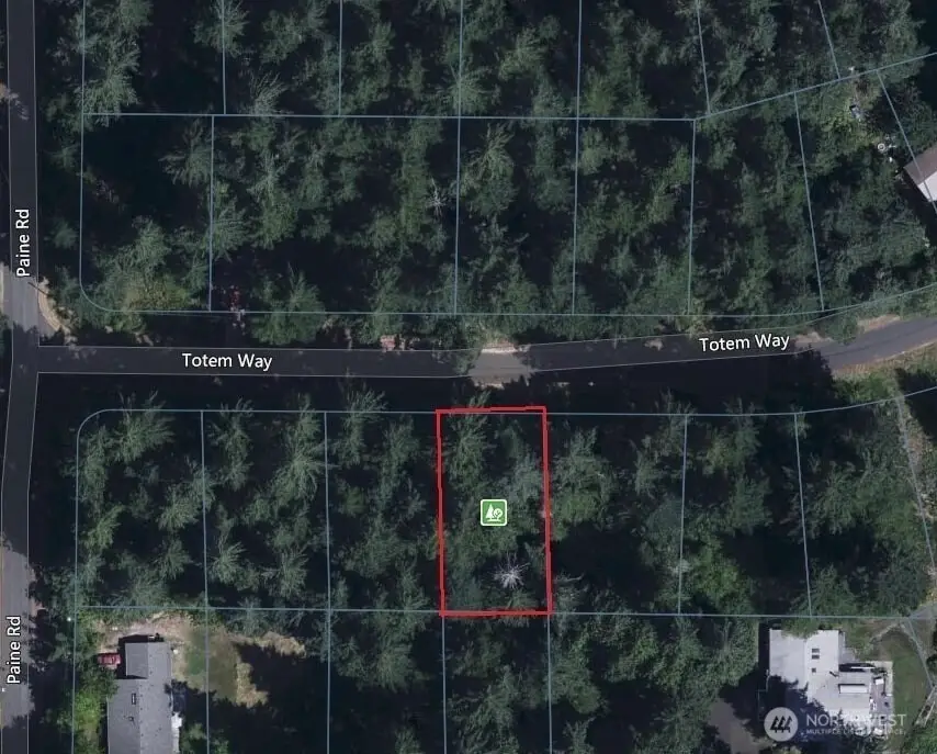 10329 Totem Way, Anderson Island, WA 98303 - #1