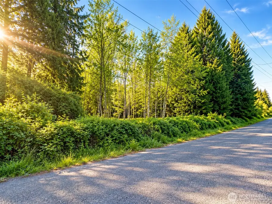 18415 170th Street E, Bonney Lake, WA 98391 - #3