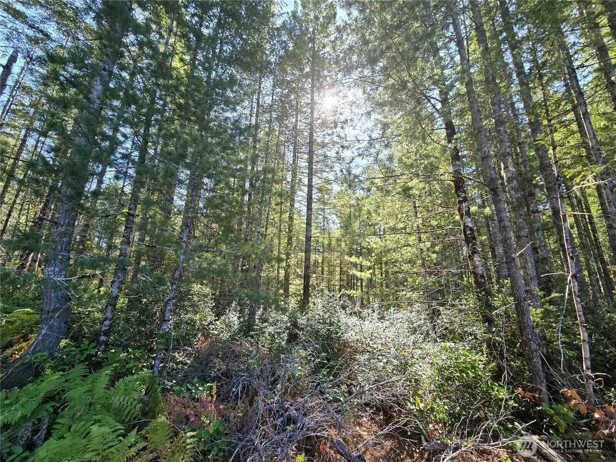 0 NE Dewatto Hills Road, Tahuya, WA 98588 - #1