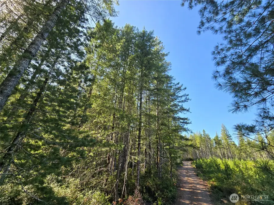 0 NE Dewatto Hills Road, Tahuya, WA 98588 - #3