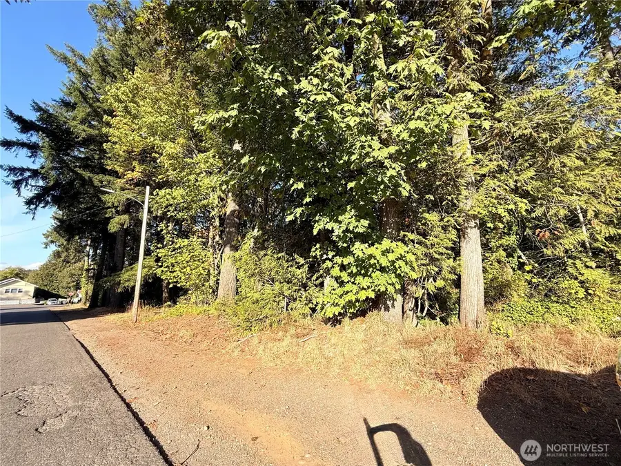0 Lots 1-67 Harvard/turner Avenue W #1-67, Shelton, WA 98584 - #3