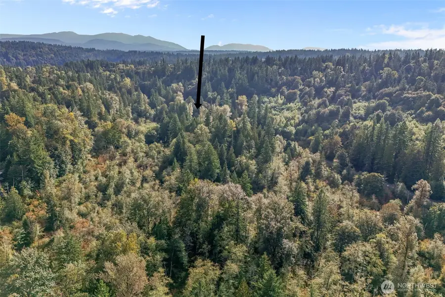 0 NE 52nd Street, Carnation, WA 98014 - #3
