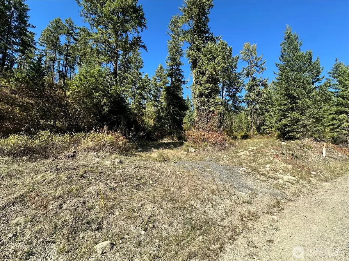 3 Lot 3 Deadman Creek Rd, Kettle Falls, WA 99141 - #1