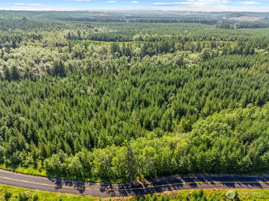 0 Finkas Road, Toutle, WA 98649 - #3
