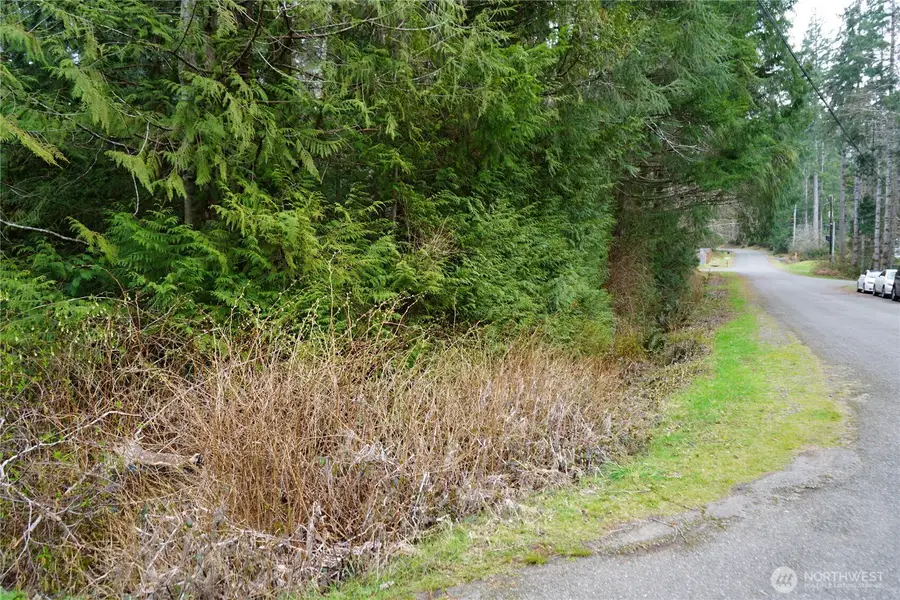 321 E Ballycastle Way, Shelton, WA 98584 - #3