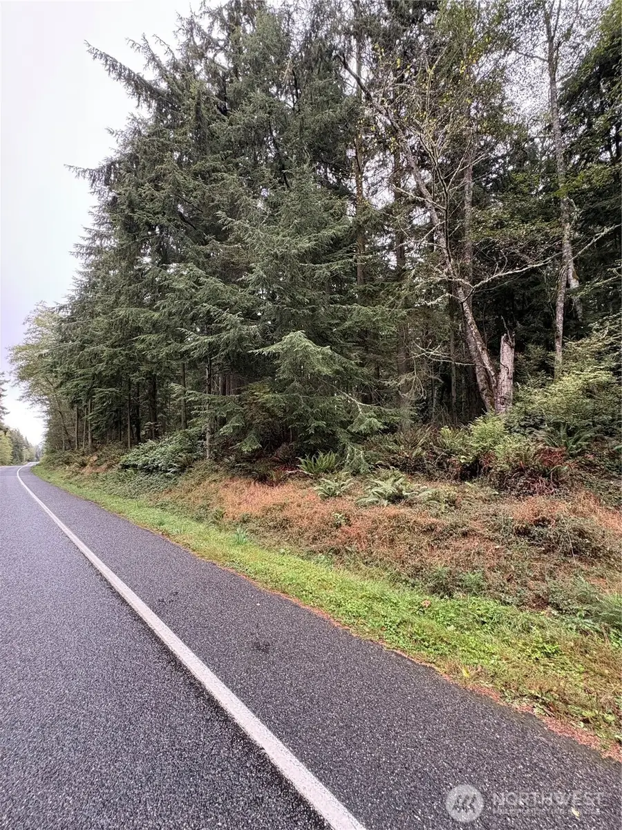 123 Smugglers Cove Rd, Greenbank, WA 98253 - #3