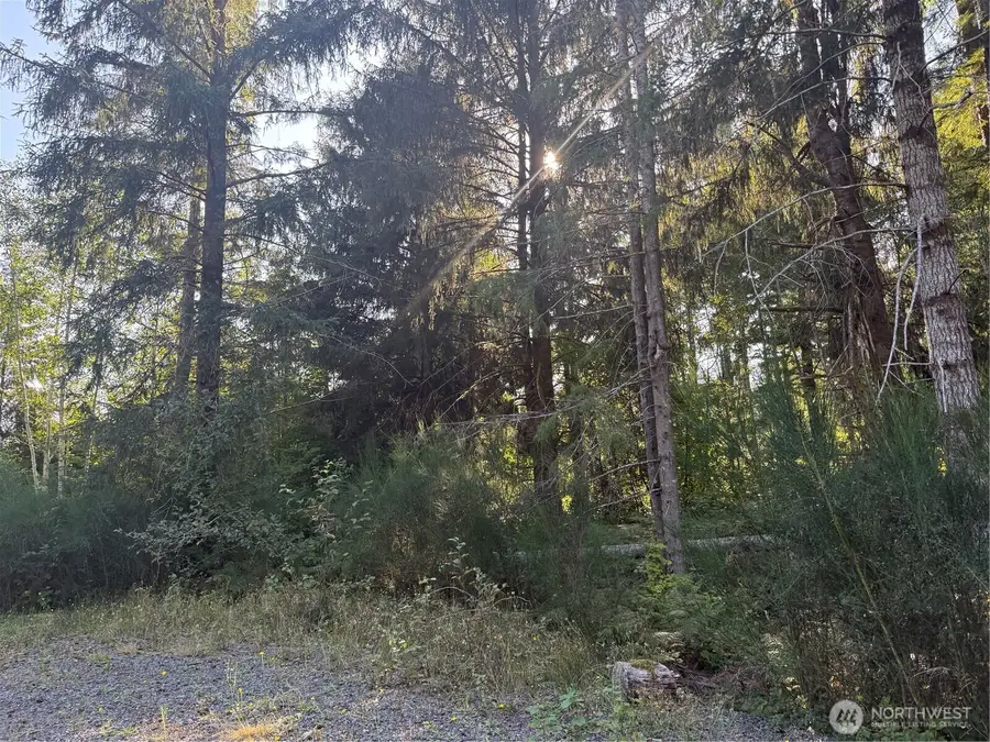 99922 Thomas Street #22, Forks, WA 98331 - #2