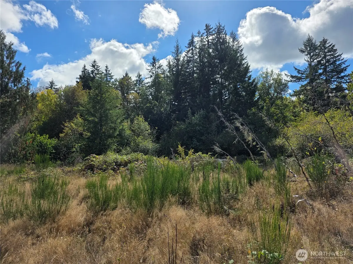 400 Marion Street S, Tenino, WA 98589 - #1