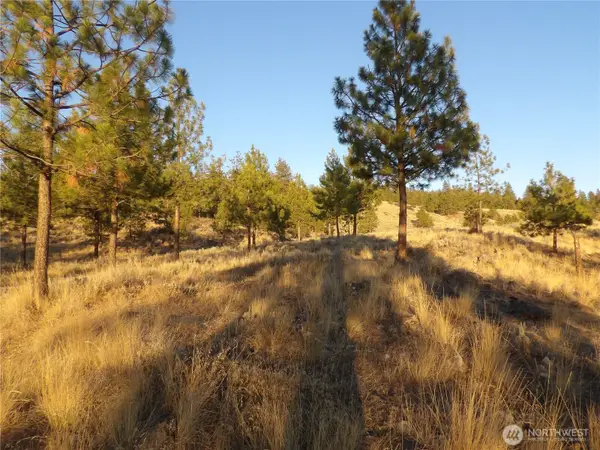 0 Tbd Bear Camp Road, Tonasket, WA 98855