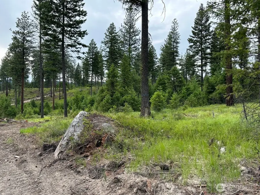 3600 Sheridan Road, Republic, WA 99166 - #2
