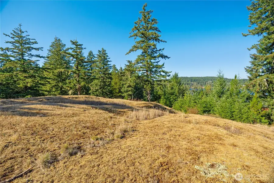 0 Woodpecker Lane #8, Friday Harbor, WA 98250 - #3