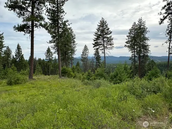 3600 Sheridan Road, Republic, WA 99166
