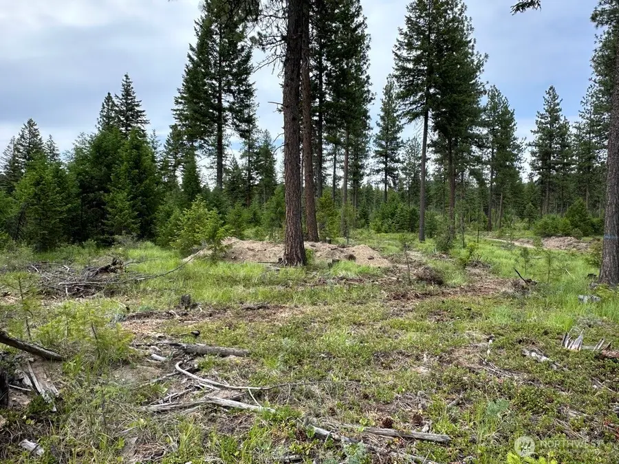 3600 Sherian Road, Republic, WA 99166 - #2