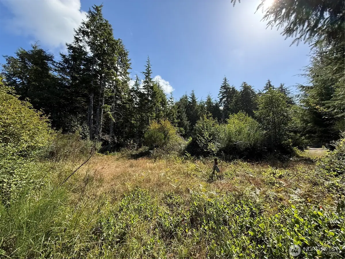 3011 202nd Street #3, Ocean Park, WA 98640 - #1