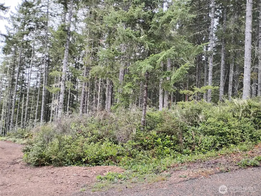 240 NE Cedar Lane #32, Tahuya, WA 98588 - #2
