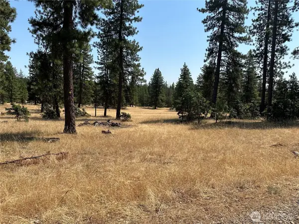 0 Greyback Mt Road #13, Goldendale, WA 98620