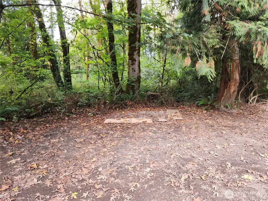 41458 Cape Horn Drive #32, Concrete, WA 98237 - #3