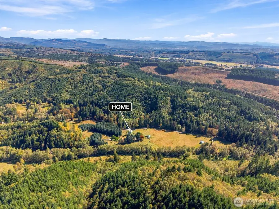 555 Pigeon Springs Road, Onalaska, WA 98570 - #2