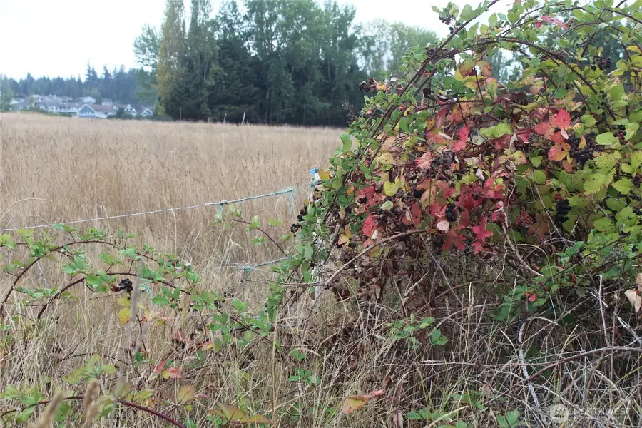 0 E Brownfield Road, Sequim, WA 98382 - #3