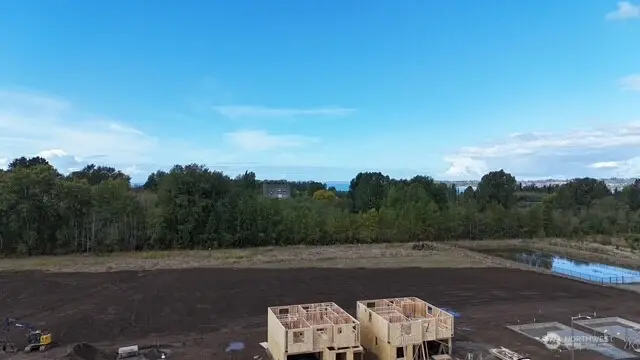 4541 Noel (lot 65) Street, Blaine, WA 98230 - #2