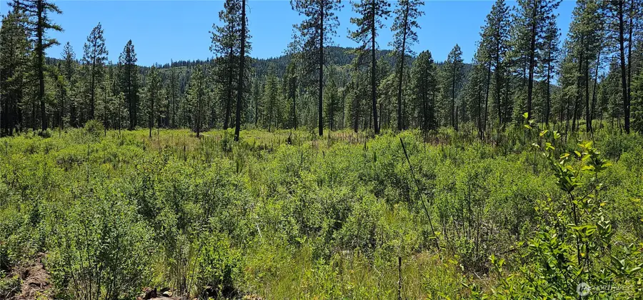 20 Lynx Road, Inchelium, WA 99138 - #2