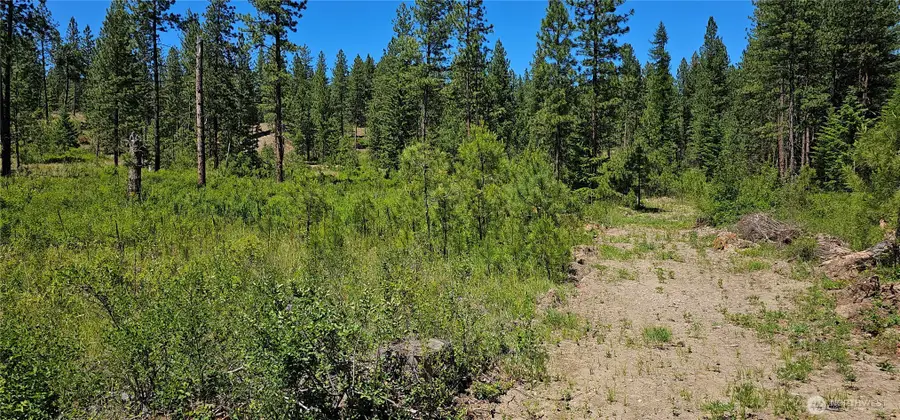 20 Lynx Road, Inchelium, WA 99138 - #3