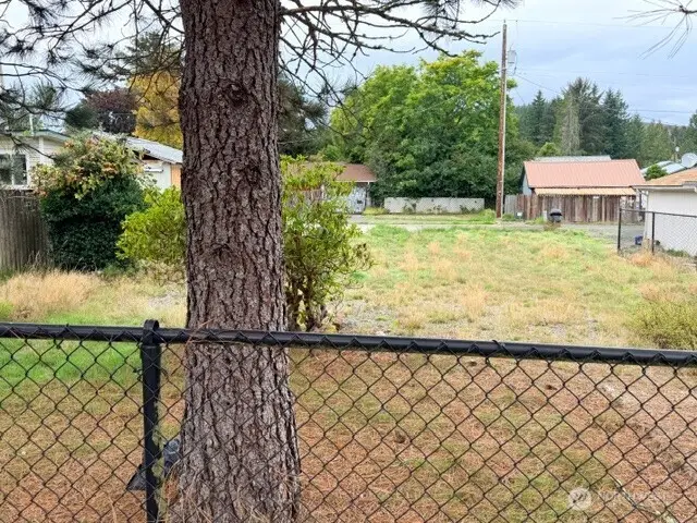 505 Morse Street, Ryderwood, WA 98581 - #2