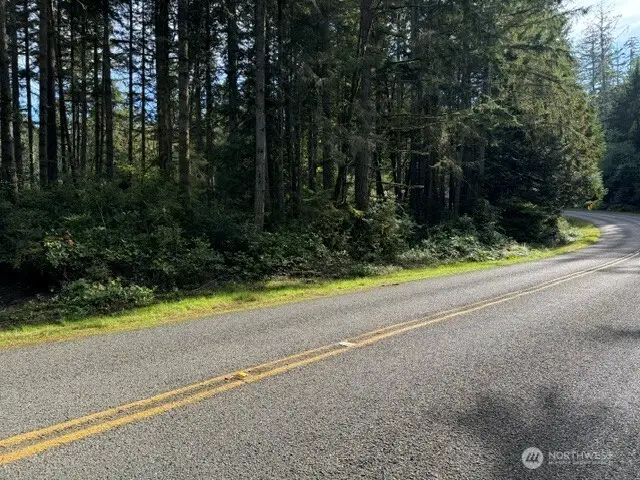 11503 Lake Josephine Avenue #63, Anderson Island, WA 98303 - #1