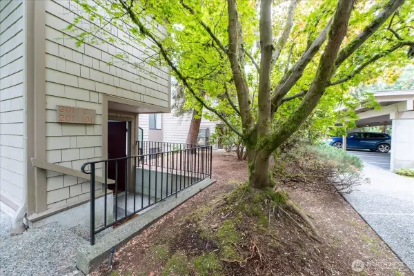 13730 15th Avenue Ne #C101, Seattle, WA 98125