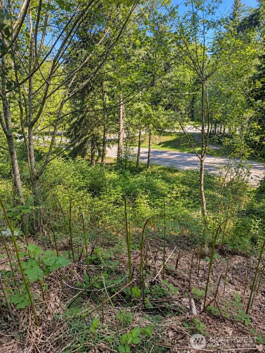 32933 SE Kent Kangley Road, Ravensdale, WA 98051 - #2