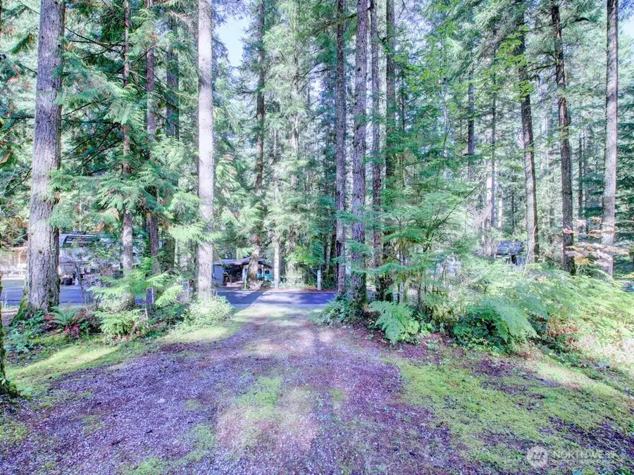 145 Goldrush Road, Deming, WA 98244 - #2