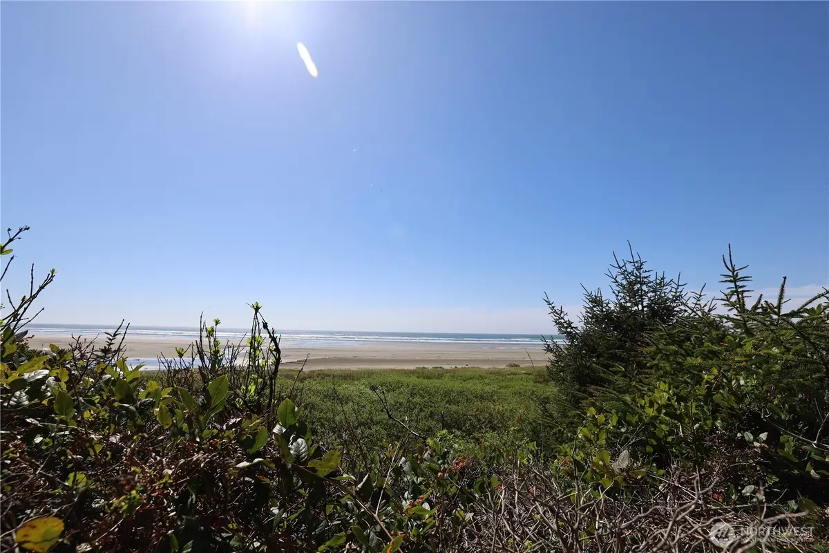5 & 6 Roosevelt Beach Lots, Pacific Beach, WA 98571 - #1
