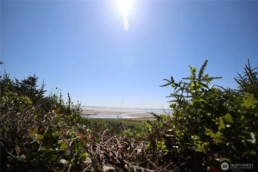 5 & 6 Roosevelt Beach Lots, Pacific Beach, WA 98571 - #2