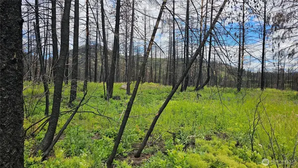 34 Lael-flat Creek Road, Kettle Falls, WA 99141
