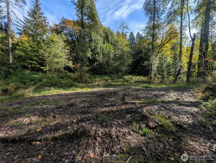 35027 NE 154th Street, Duvall, WA 98019 - #3