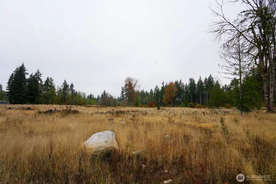 15138 Champion Estate Drive Se, Yelm, WA 98597 - #3
