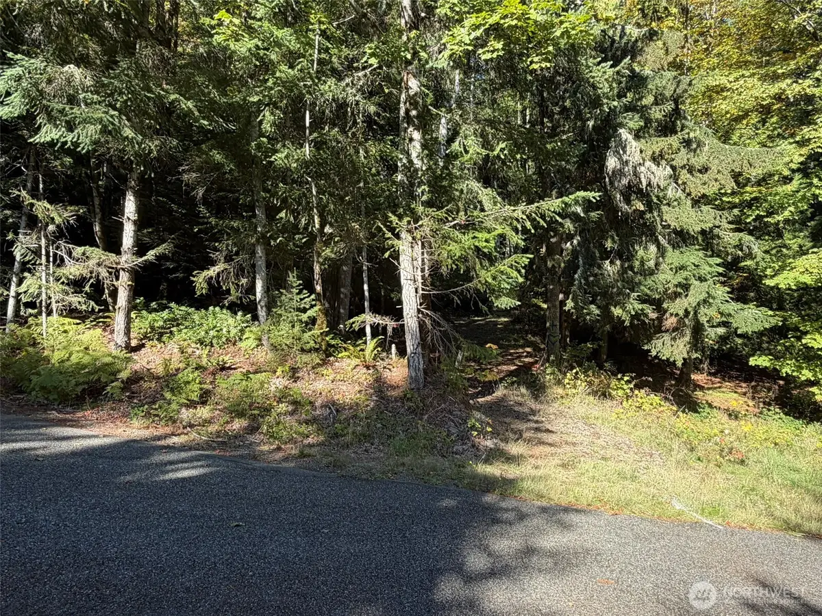 420 Arabian Drive, Brinnon, WA 98320 - #1