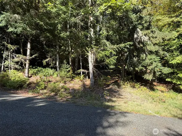 420 Arabian Drive, Brinnon, WA 98320
