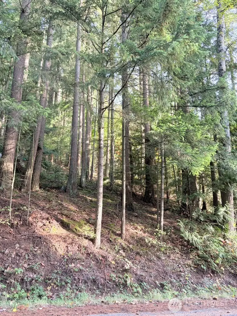 0 Emerald Lake Lot# 122 Way #122, Bellingham, WA 98226 - #1