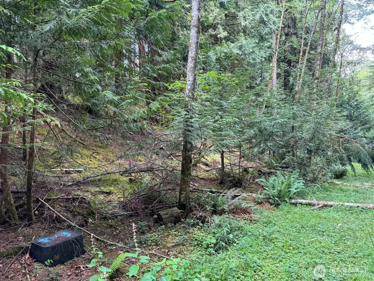 17 Black Bear Court #128, Bellingham, WA 98229 - #1