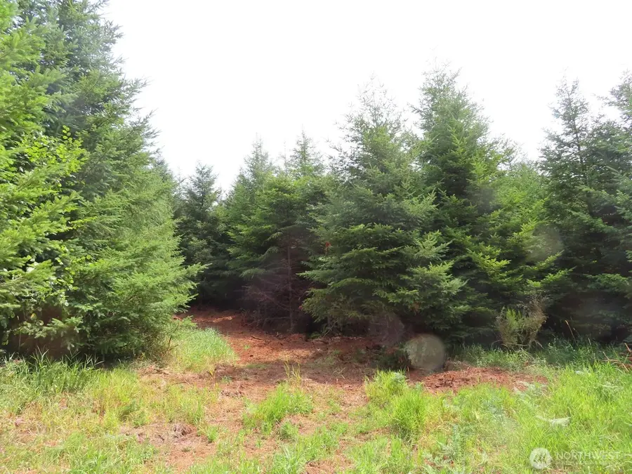 0 Mill Creek Lane #D, Longview, WA 98632 - #3